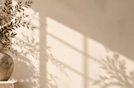 Warm afternoon light casting leaf shadows across a plaster wall
